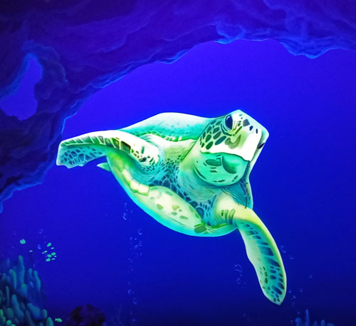 UV-Malerei, Motiv: Meeresschildkröte